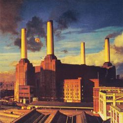 Picture of the Pink Floyd Animals Album Cover