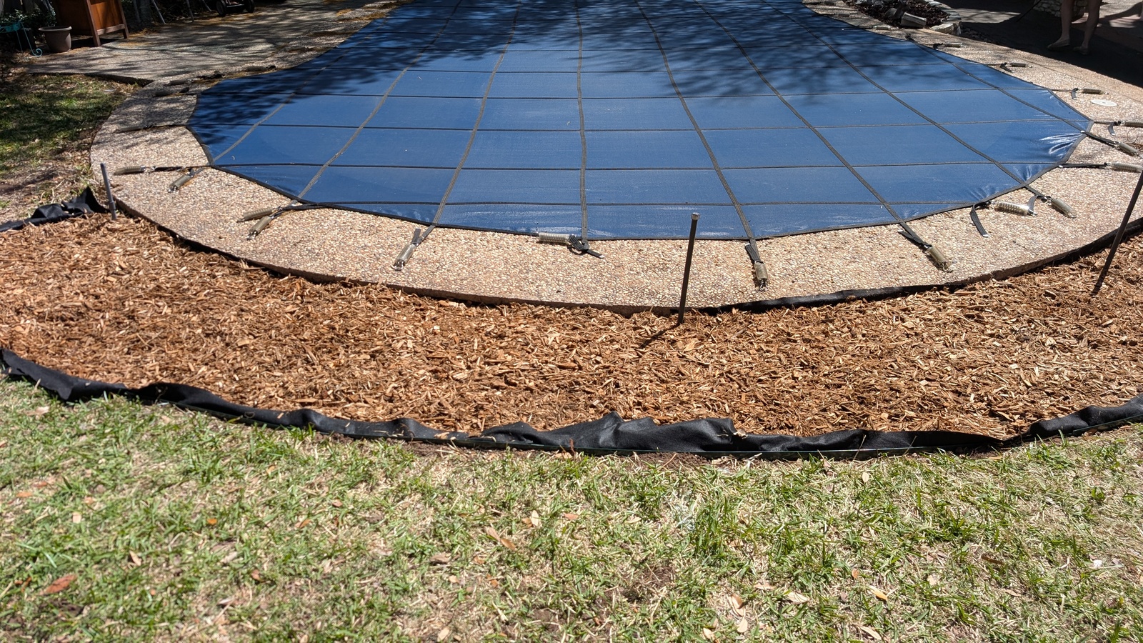 Potted Plant Bed (March 2026)