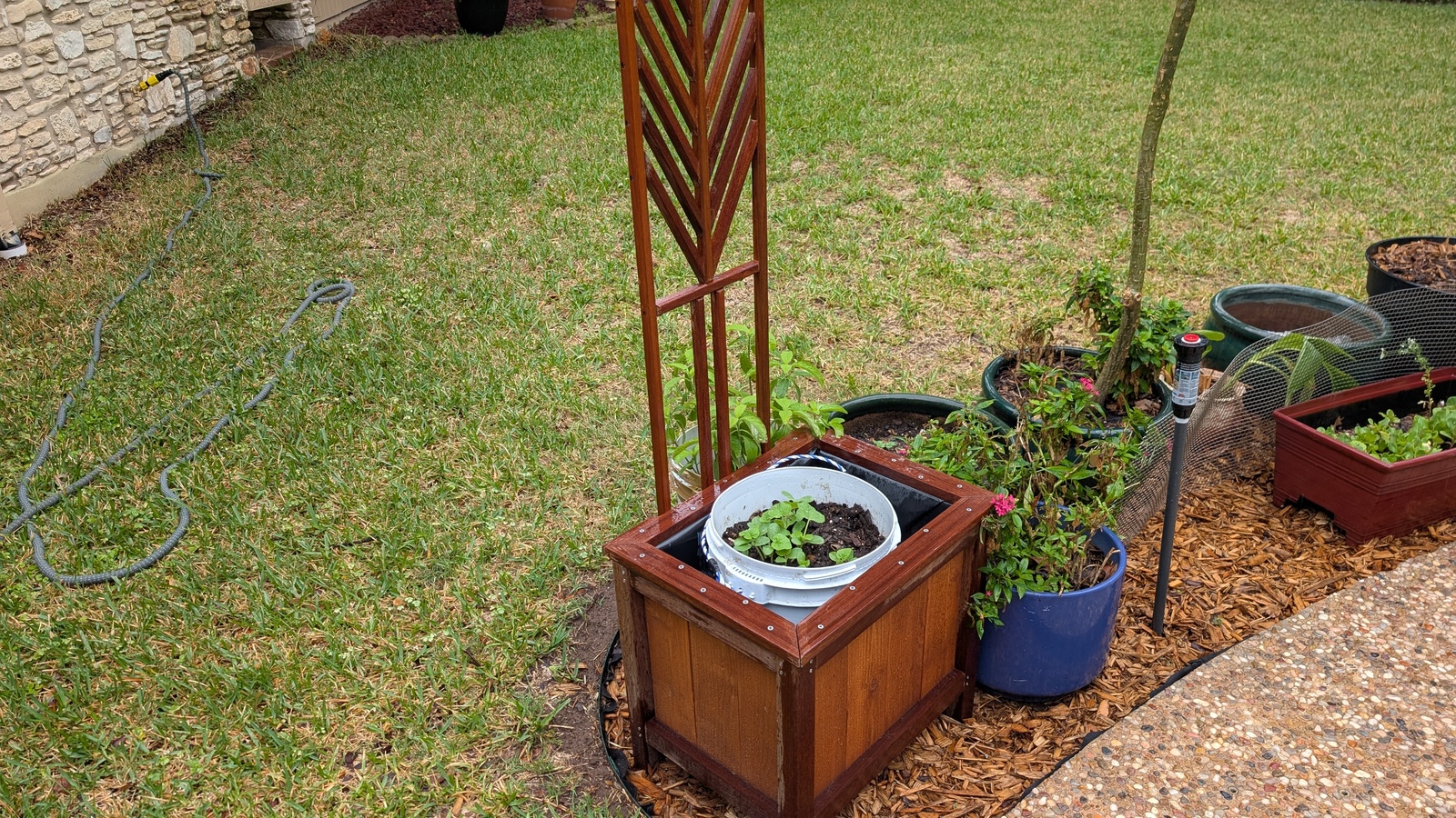 Planter with Trellis (July 2025)